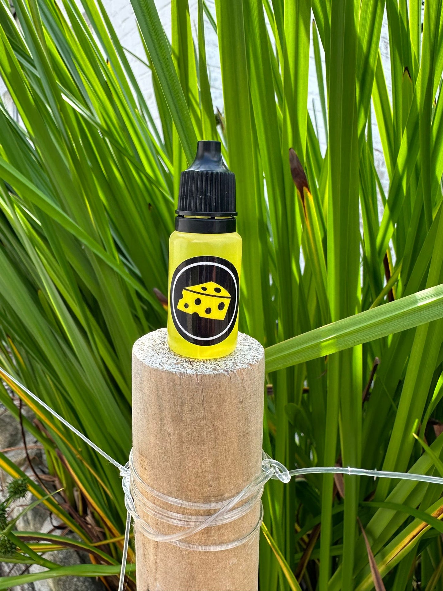 Aroma 10ml - CAST & STRIKE -  Forellenaroma, Lockstoff