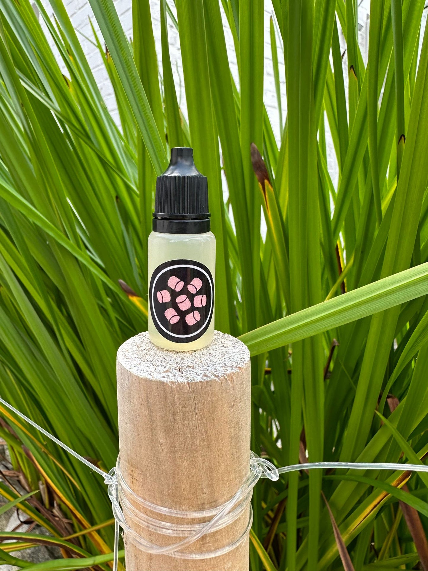 Aroma 10ml - CAST & STRIKE -  Forellenaroma, Lockstoff