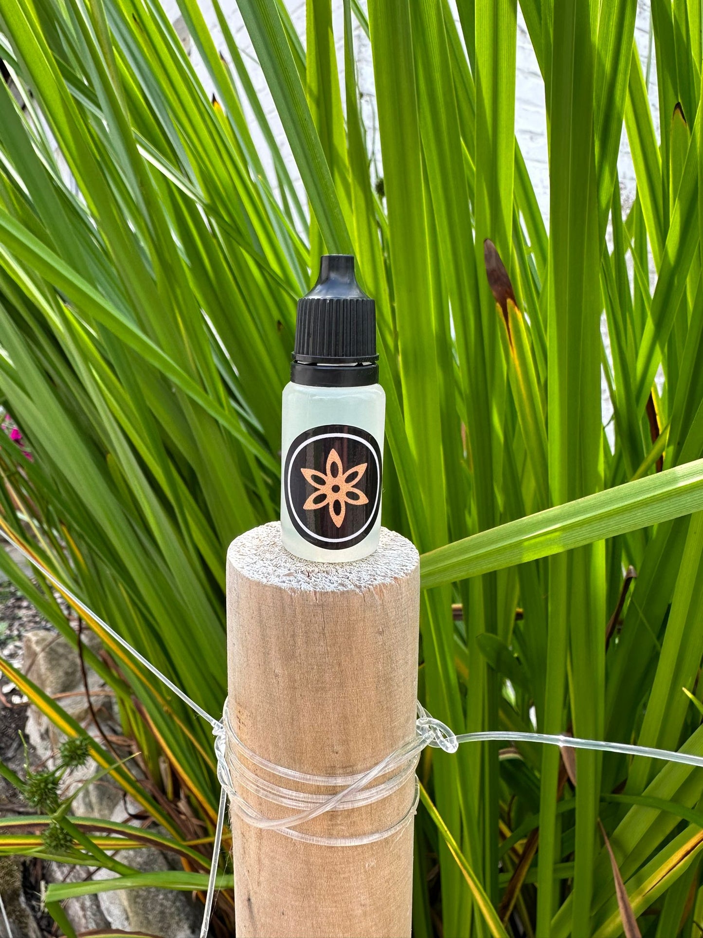 Aroma 10ml - CAST & STRIKE -  Forellenaroma, Lockstoff